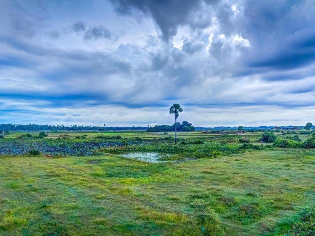 Ry'S Lotus Resort D'Angkor Sziemreap Kültér fotó