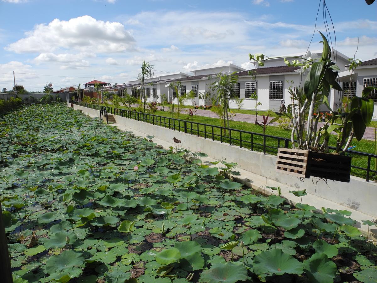 Ry'S Lotus Resort D'Angkor Sziemreap Kültér fotó